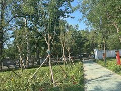 -北京大葆台遗址博物馆
