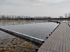 -永定河休闲森林公园