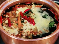 -镇江龙·火锅串串(武侯祠店)