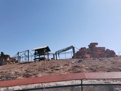 -石家庄市动物园