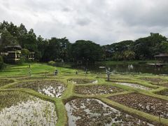 -四季酒店下午茶
