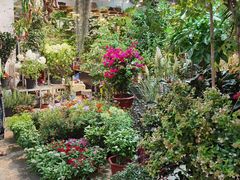 -双季花艺园艺市场(浦东店)