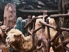 -长鹿旅游休博园