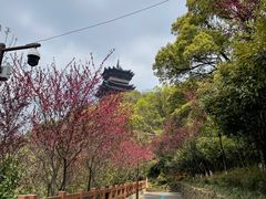 -杭州半山国家森林公园