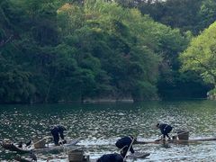-江西龙虎山景区