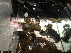 -RED LOBSTER(多伦多DT店)