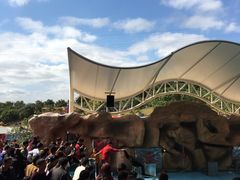 -泉州海丝野生动物世界