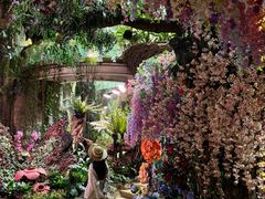 -正佳雨林生态植物园