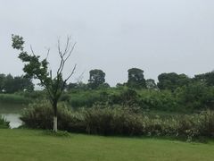 -瑶湖郊野森林公园