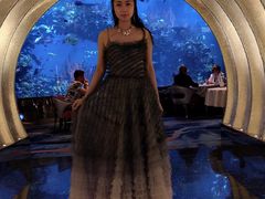 -迪拜帆船酒店海底餐厅