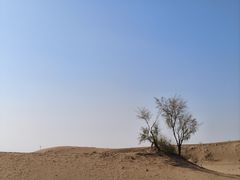 -黄沙古渡原生态旅游区