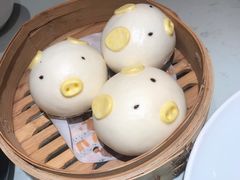 -南枝记