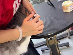 -PETKIT 小佩宠物·低压洗护·美容·寄养(安远店)