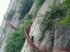 -陕西省红河谷森林公园