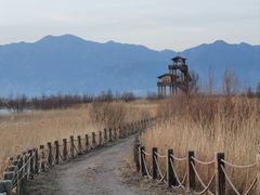 -野鸭湖国家湿地公园