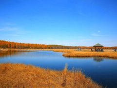 -塞罕坝国家级自然保护区