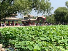 -承德避暑山庄景区