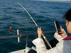 -小猫钓鱼海钓俱乐部(椰梦长廊店)