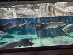 -鹿儿岛水族馆
