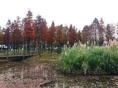 -尚贤河湿地