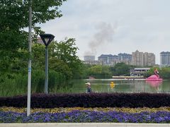-青枫公园