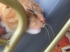 -BABANA烧烤·龙虾·海鲜