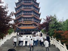 -铁山坪森林公园