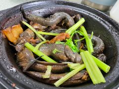 -茂盛饭店(汕尾大道中店)