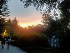 -长春市南湖公园