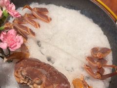 -揽季锅物会.福建黄鱼.海鲜姿造(五四路店)