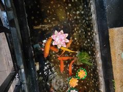 -勝記酒家·37年老字号·经典粤菜(荔枝公园店)