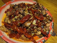 -柴窝堡22号辣子鸡·传承新疆菜