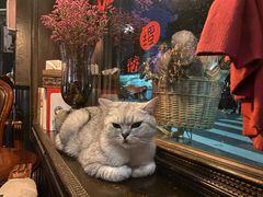-不舍昼夜咖啡馆