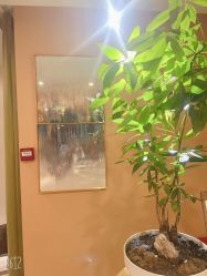 -南国丽人美容会所