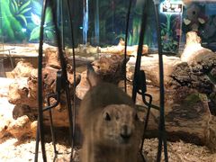 -昆明大悦城未来动物城(螺蛳湾中心店)