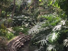 -呀路古热带植物园-恐龙馆