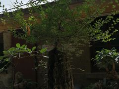 -西华公园