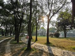 -蠡湖大桥公园