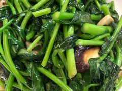 炒菜心-南花桥羊肉馆老字号(乌镇店)