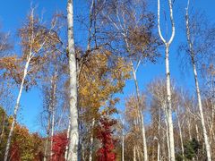 -长春市南湖公园