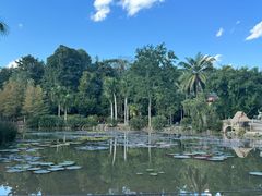 -中国科学院西双版纳热带植物园