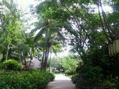 -三亚珠江南田温泉度假区