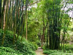-峨眉山报国寺