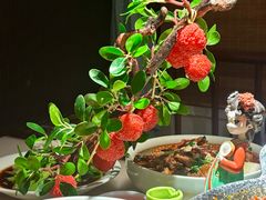 -遇见长安之高山流水(李家村万达店)