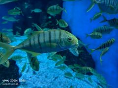 -成都浩海立方海洋公园