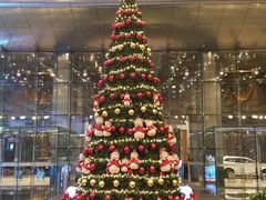 -青岛海尔洲际酒店