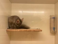 -龙猫仔乐园(惠福东路店)