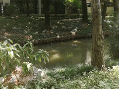 -汇龙潭