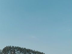 -秀丽东方