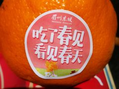 -王家渡火锅店(棕榈泉店)
